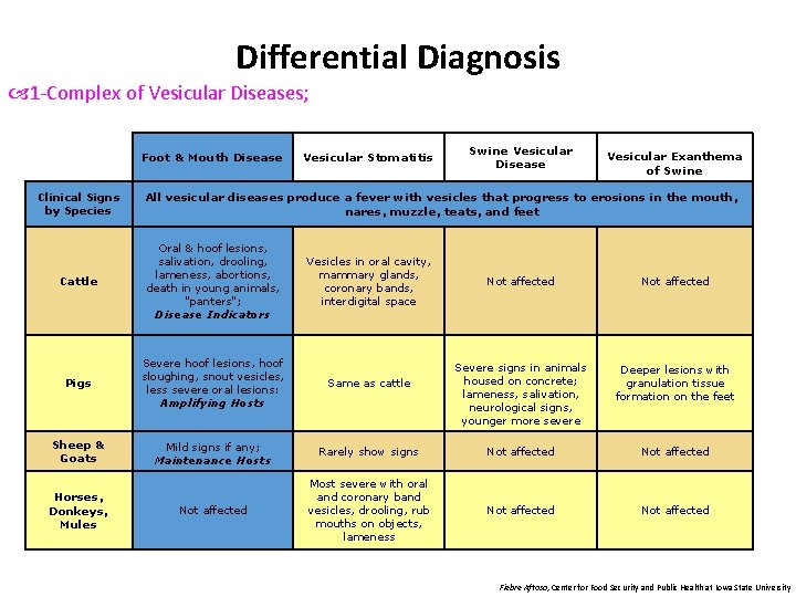 Differential Diagnosis 1 -Complex of Vesicular Diseases; Foot & Mouth Disease Clinical Signs by