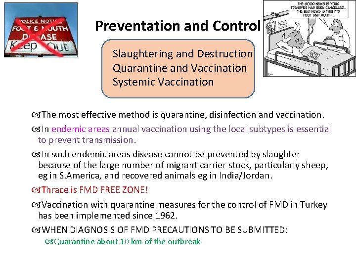 Preventation and Control Slaughtering and Destruction Quarantine and Vaccination Systemic Vaccination The most effective