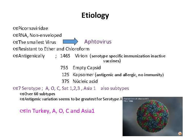 Etiology Picornaviridae RNA, Non-enveloped Aphtovirus The smallest Virus Resistant to Ether and Chloroform Antigenically