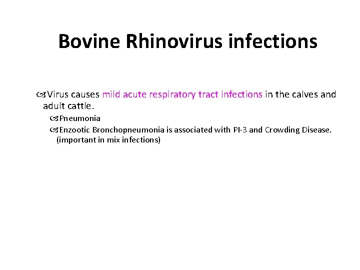 Bovine Rhinovirus infections Virus causes mild acute respiratory tract infections in the calves and