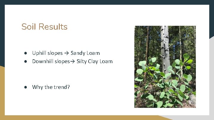Soil Results ● Uphill slopes → Sandy Loam ● Downhill slopes→ Silty Clay Loam