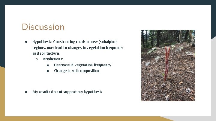 Discussion ● Hypothesis: Constructing roads in new (subalpine) regions, may lead to changes in