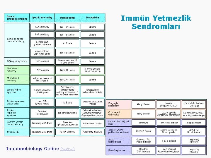 Immün Yetmezlik Sendromları Immunobiology Online (www) 