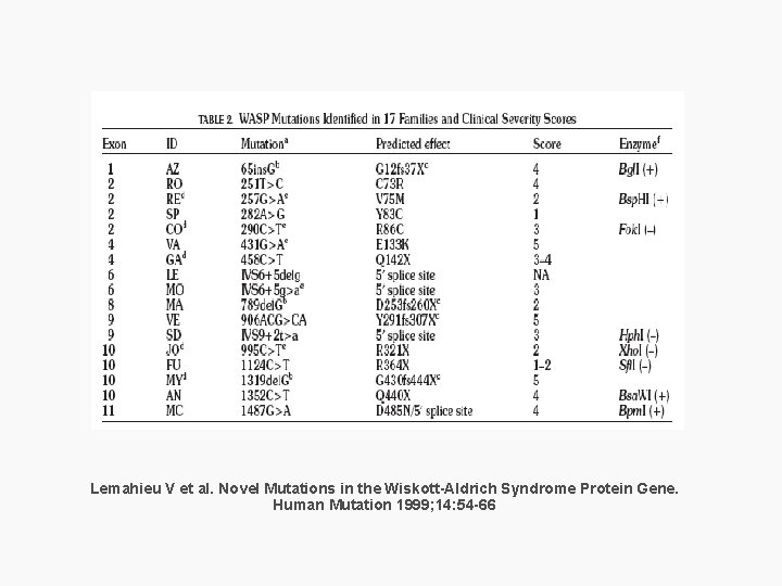 Lemahieu V et al. Novel Mutations in the Wiskott-Aldrich Syndrome Protein Gene. Human Mutation