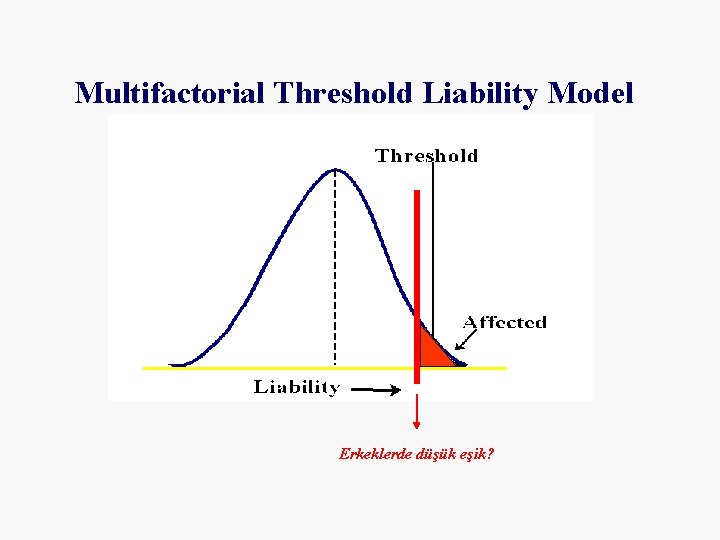 Multifactorial Threshold Liability Model Erkeklerde düşük eşik? 