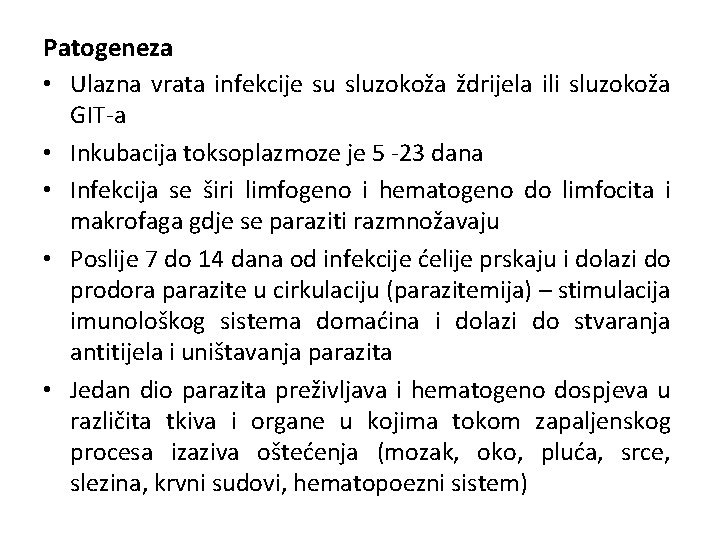 Patogeneza • Ulazna vrata infekcije su sluzokoža ždrijela ili sluzokoža GIT-a • Inkubacija toksoplazmoze