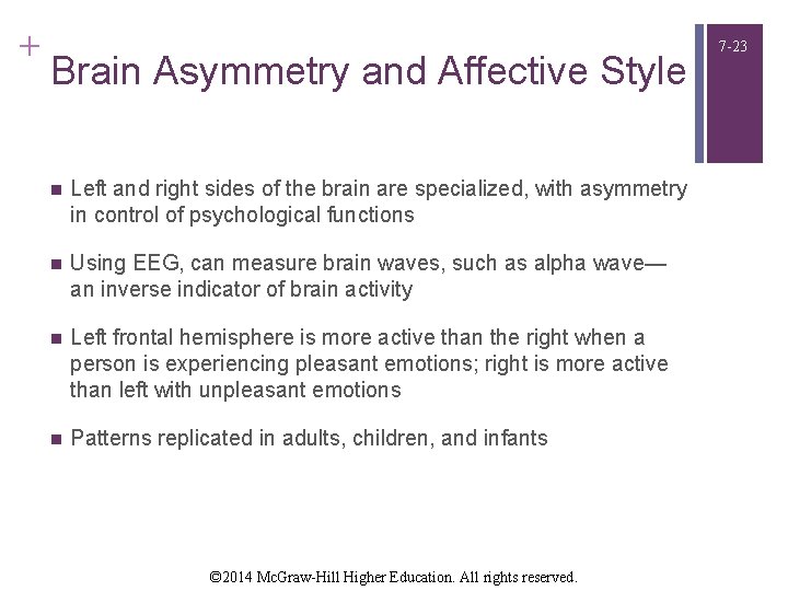 + Brain Asymmetry and Affective Style n Left and right sides of the brain