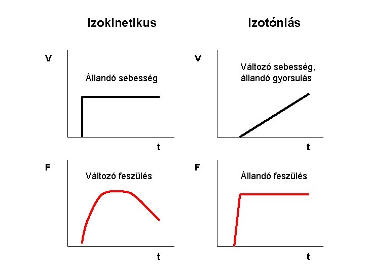 Izokinetikus Izotóniás V V Állandó sebesség t F Változó feszülés t Változó sebesség, állandó