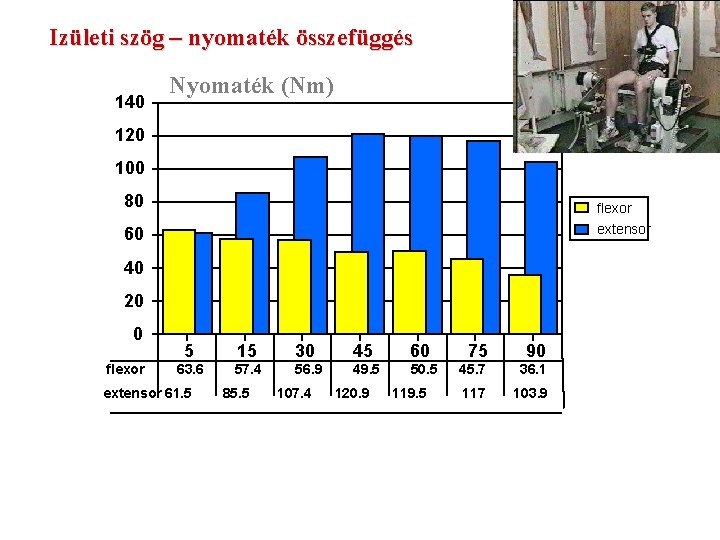 Izületi szög – nyomaték összefüggés 140 Nyomaték (Nm) 120 100 80 flexor 60 extensor