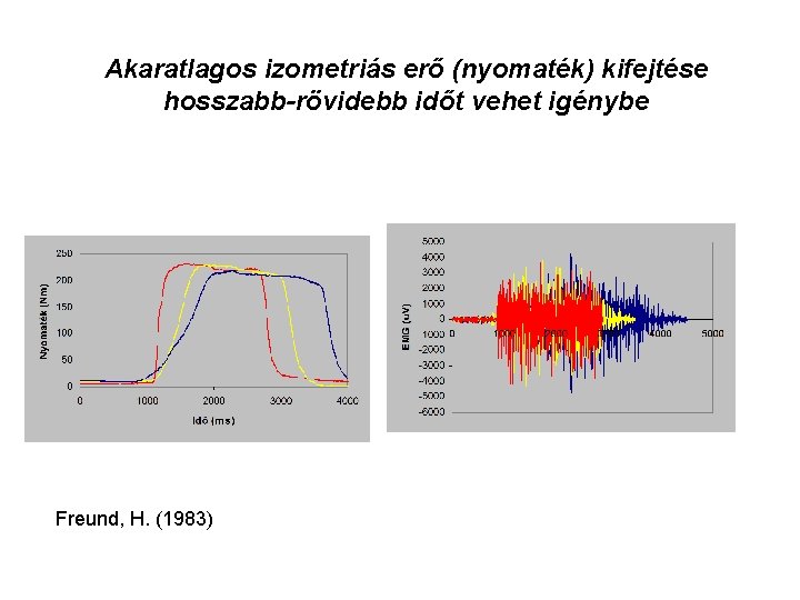 Akaratlagos izometriás erő (nyomaték) kifejtése hosszabb-rövidebb időt vehet igénybe Freund, H. (1983) 