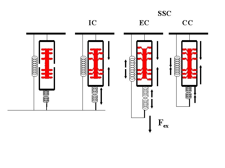 SSC IC EC CC Fex 