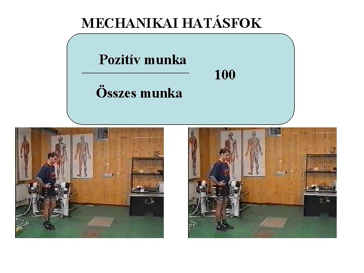 MECHANIKAI HATÁSFOK Pozitív munka Összes munka 100 