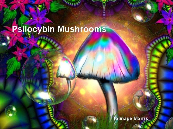 Psilocybin Mushrooms Talmage Morris 