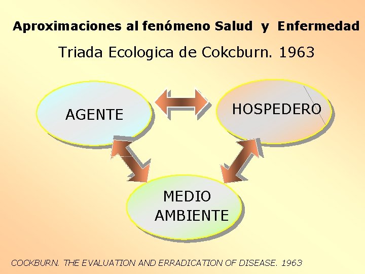 Aproximaciones al fenómeno Salud y Enfermedad Triada Ecologica de Cokcburn. 1963 HOSPEDERO AGENTE MEDIO