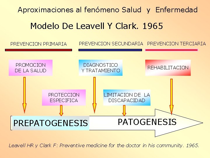 Aproximaciones al fenómeno Salud y Enfermedad Modelo De Leavell Y Clark. 1965 PREVENCION PRIMARIA