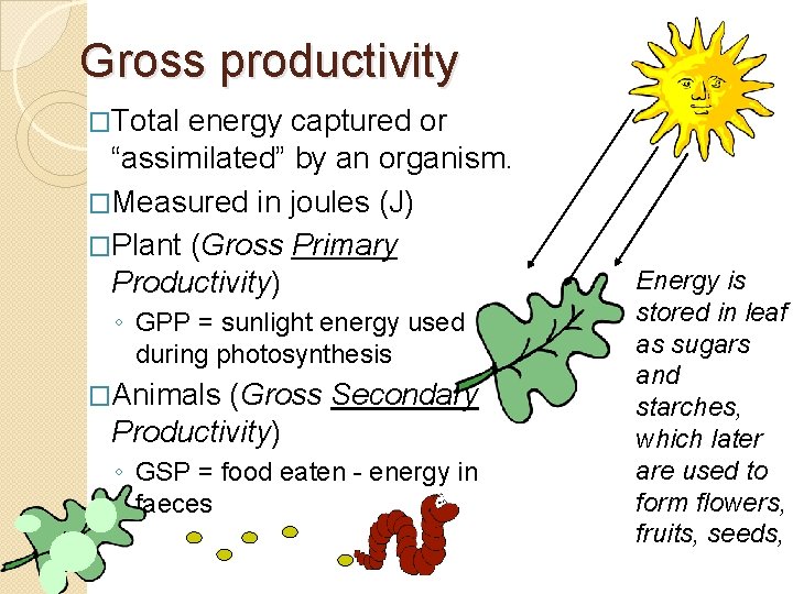 Gross productivity �Total energy captured or “assimilated” by an organism. �Measured in joules (J)