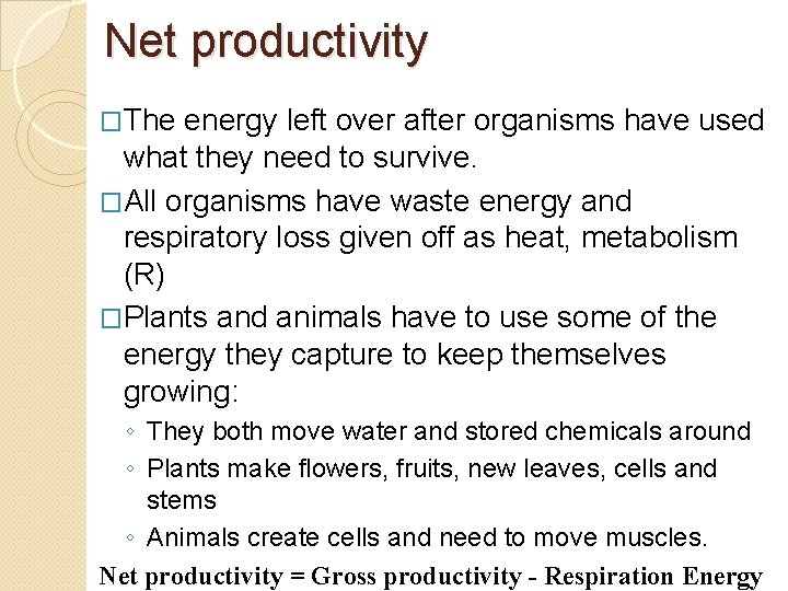 Net productivity �The energy left over after organisms have used what they need to