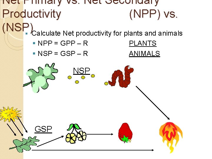 Net Primary vs. Net Secondary Productivity (NPP) vs. (NSP) § Calculate Net productivity for