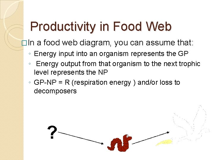 Productivity in Food Web �In a food web diagram, you can assume that: ◦