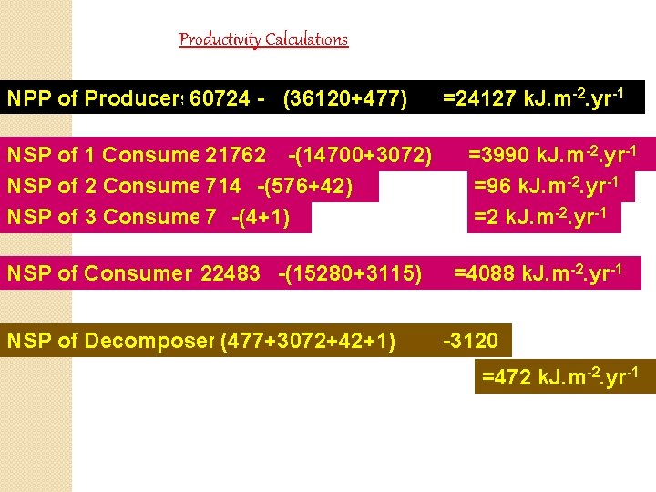 Productivity Calculations NPP of Producers: 60724 - (36120+477) NSP of 1 Consumer 21762 -(14700+3072)