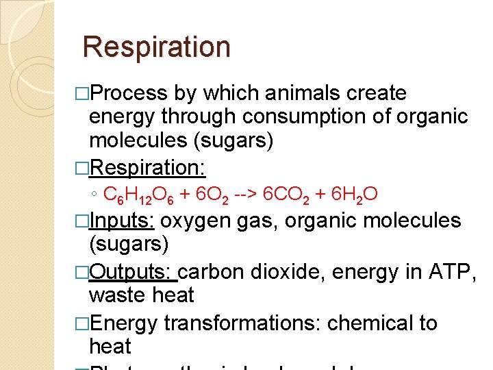 Respiration �Process by which animals create energy through consumption of organic molecules (sugars) �Respiration: