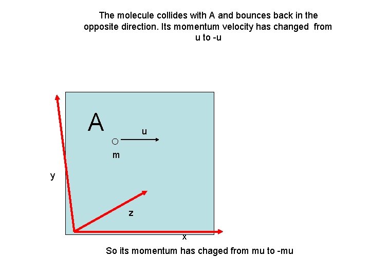 The molecule collides with A and bounces back in the opposite direction. Its momentum