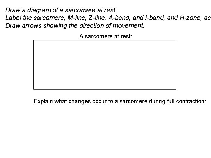 Draw a diagram of a sarcomere at rest. Label the sarcomere, M-line, Z-line, A-band,
