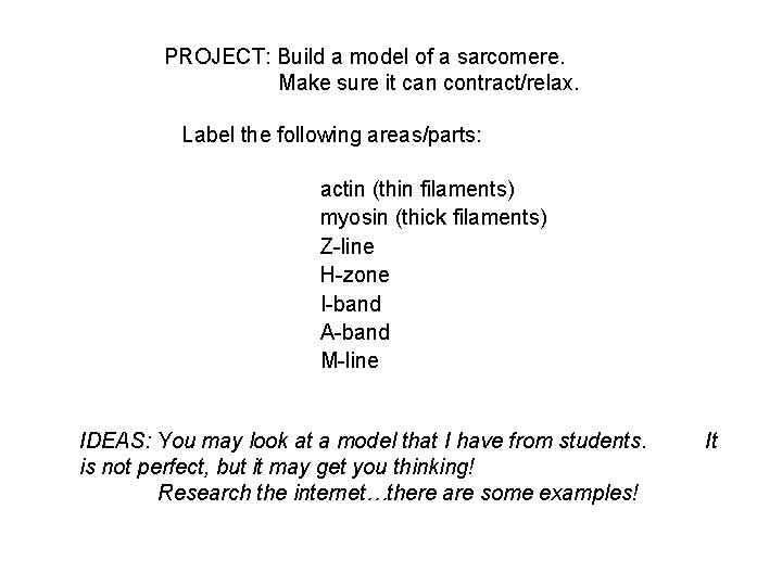 PROJECT: Build a model of a sarcomere. Make sure it can contract/relax. Label the