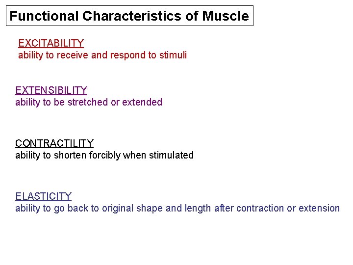 Functional Characteristics of Muscle EXCITABILITY ability to receive and respond to stimuli EXTENSIBILITY ability