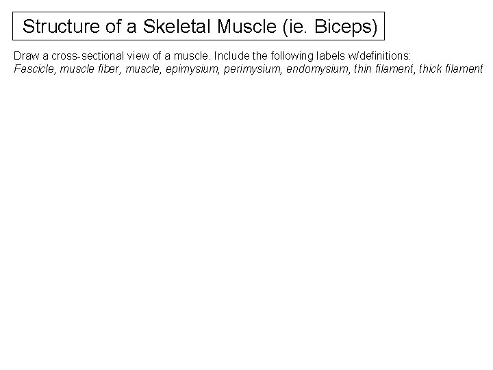 Structure of a Skeletal Muscle (ie. Biceps) Draw a cross-sectional view of a muscle.