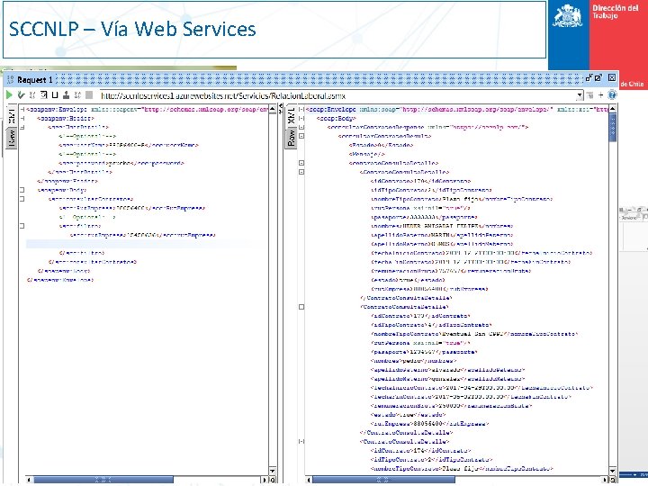 SCCNLP – Vía Web Services Expone: Paulina Aguilar Demierre 5 