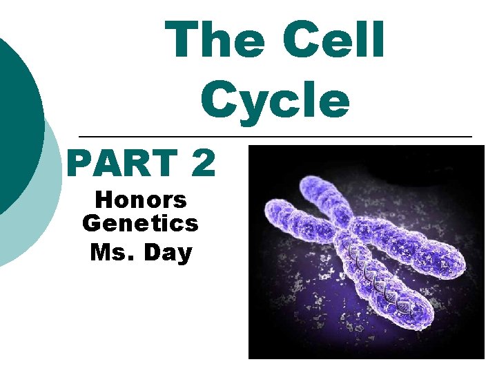 The Cell Cycle PART 2 Honors Genetics Ms. Day 