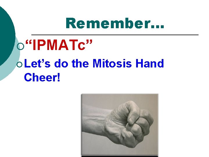 Remember… ¡“IPMATc” ¡ Let’s do the Mitosis Hand Cheer! 