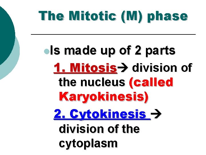 The Mitotic (M) phase l. Is made up of 2 parts 1. Mitosis division
