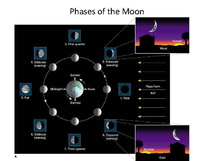 Phases of the Moon 