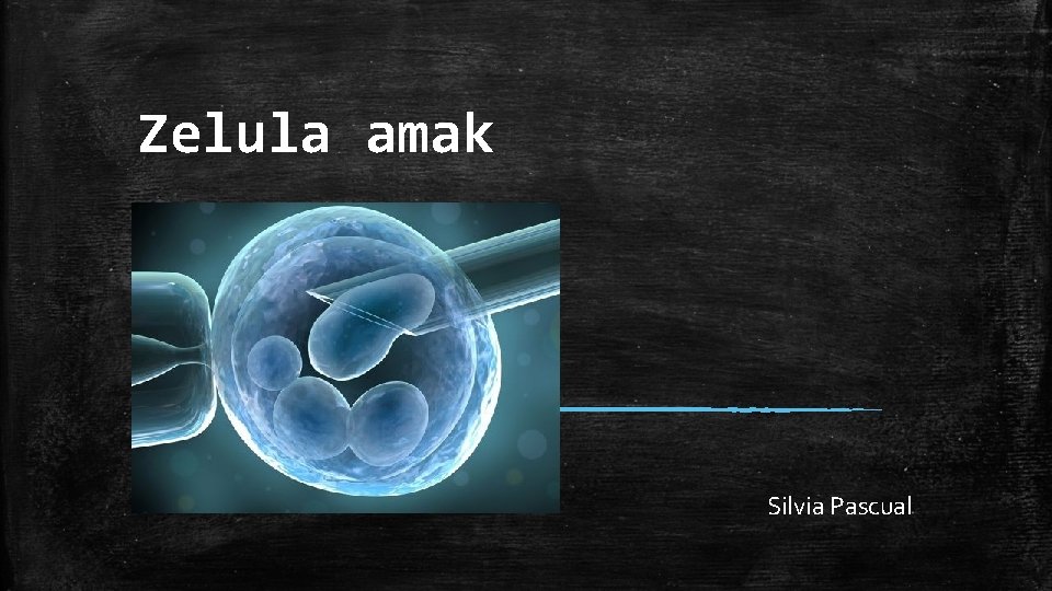 Zelula amak Silvia Pascual 