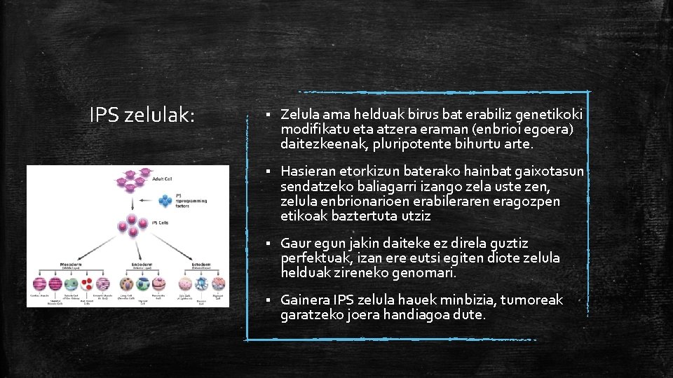 IPS zelulak: § Zelula ama helduak birus bat erabiliz genetikoki modifikatu eta atzera eraman