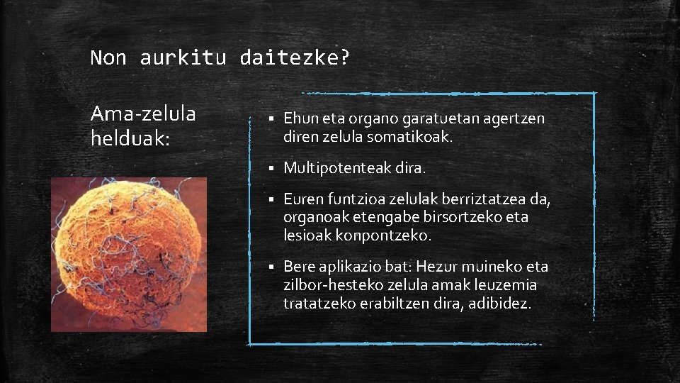 Non aurkitu daitezke? Ama-zelula helduak: § Ehun eta organo garatuetan agertzen diren zelula somatikoak.