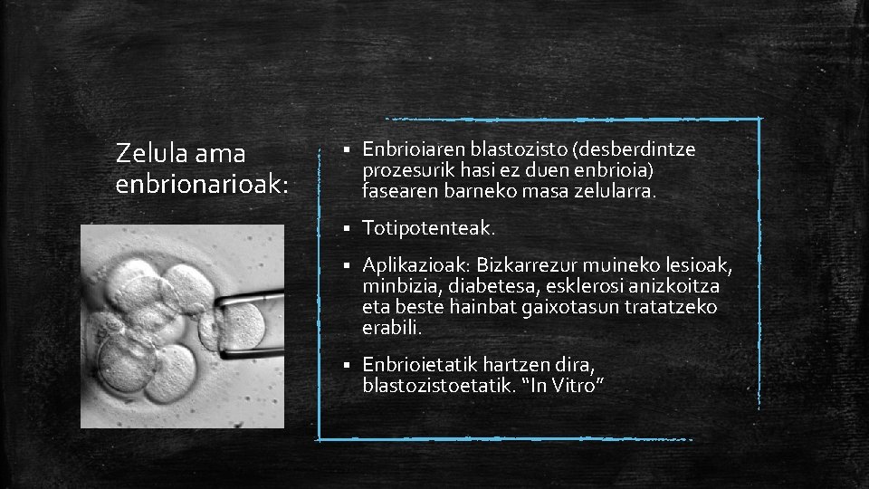 Zelula ama enbrionarioak: § Enbrioiaren blastozisto (desberdintze prozesurik hasi ez duen enbrioia) fasearen barneko