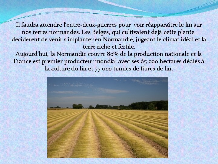 Il faudra attendre l’entre-deux-guerres pour voir réapparaître le lin sur nos terres normandes. Les