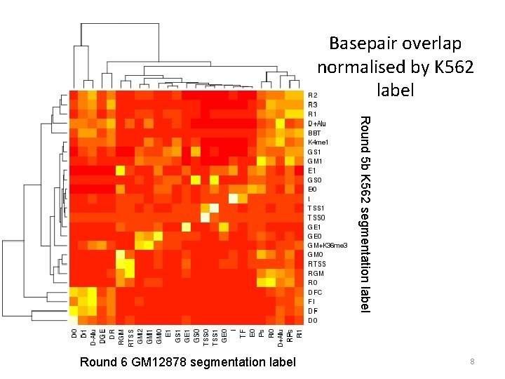 Basepair overlap normalised by K 562 label Round 5 b K 562 segmentation label