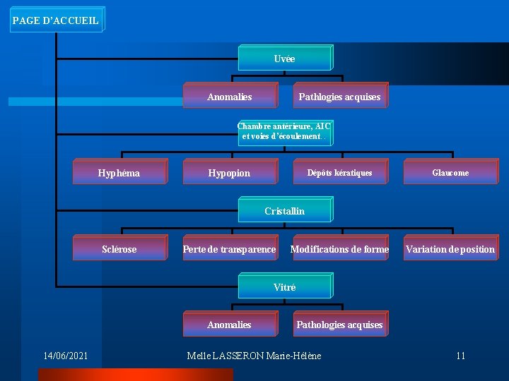 PAGE D’ACCUEIL Uvée Anomalies Pathlogies acquises Chambre antérieure, AIC et voies d’écoulement… Hyphéma Hypopion