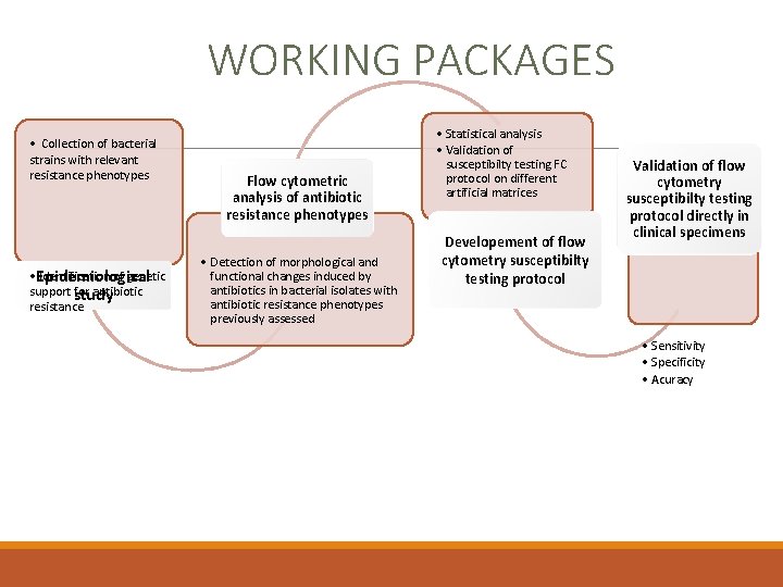 WORKING PACKAGES • Collection of bacterial strains with relevant resistance phenotypes • Epidemiological Identification