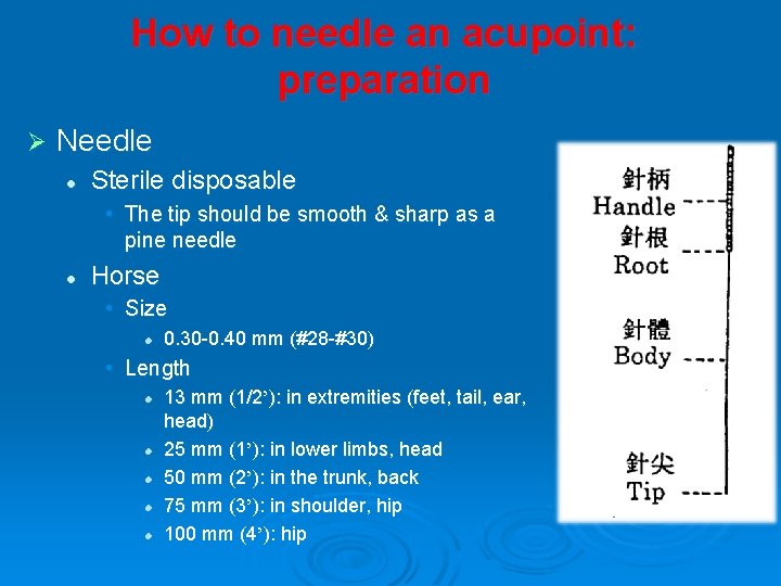 How to needle an acupoint: preparation Ø Needle l Sterile disposable • The tip