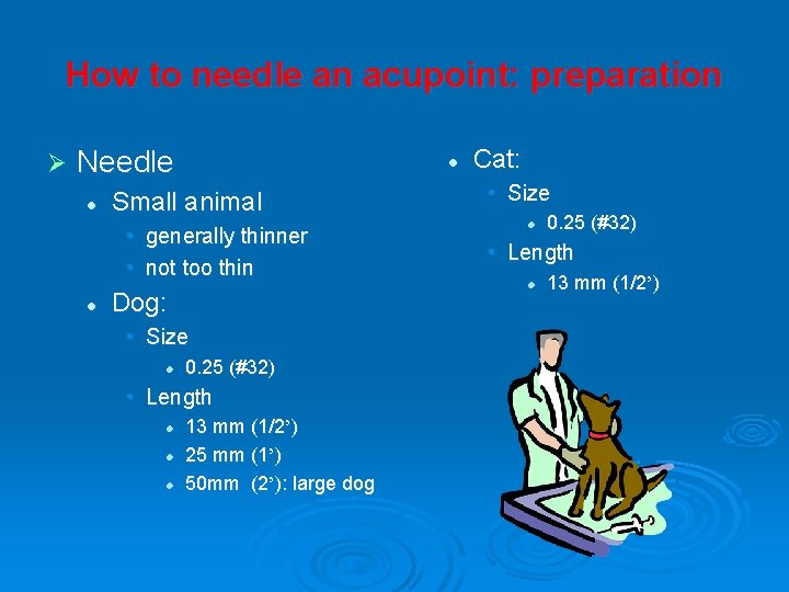 How to needle an acupoint: preparation Ø Needle l l Small animal • generally