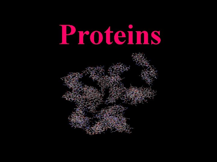 Proteins Proteins Protein from the Greek protas meaning
