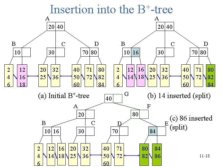 Insertion into the B+-tree A 20 40 B 10 2 4 6 12 16