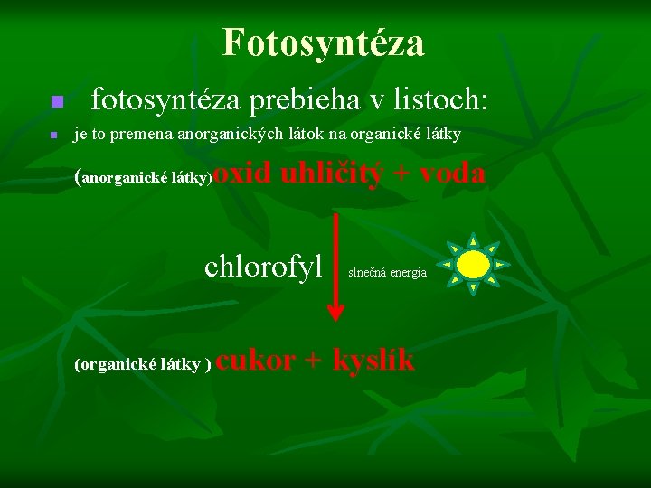 Fotosyntéza n n fotosyntéza prebieha v listoch: je to premena anorganických látok na organické