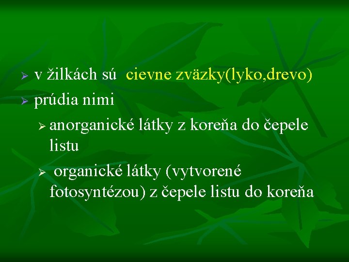 v žilkách sú cievne zväzky(lyko, drevo) Ø prúdia nimi Ø anorganické látky z koreňa