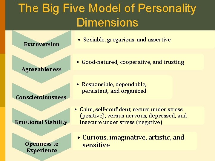 The Big Five Model of Personality Dimensions Extroversion • Sociable, gregarious, and assertive •